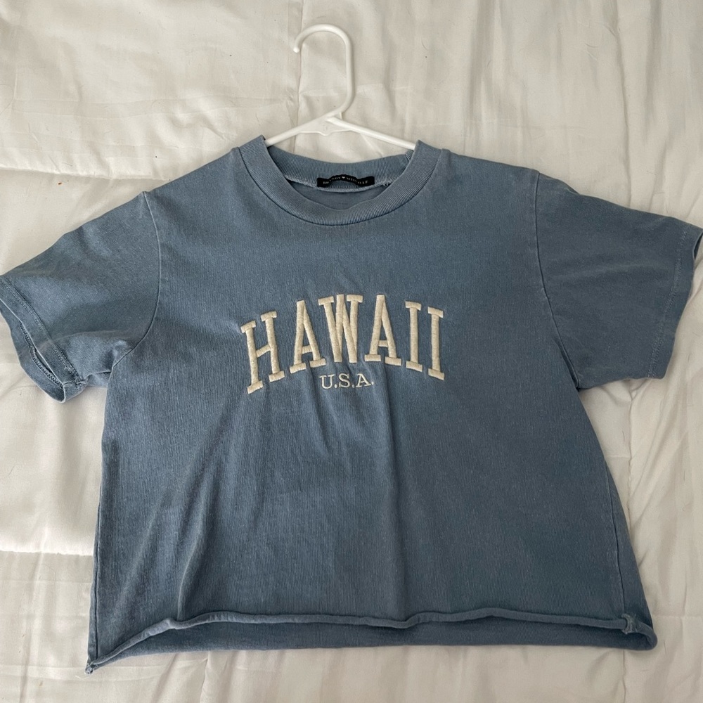 brandy melville cropped shirt